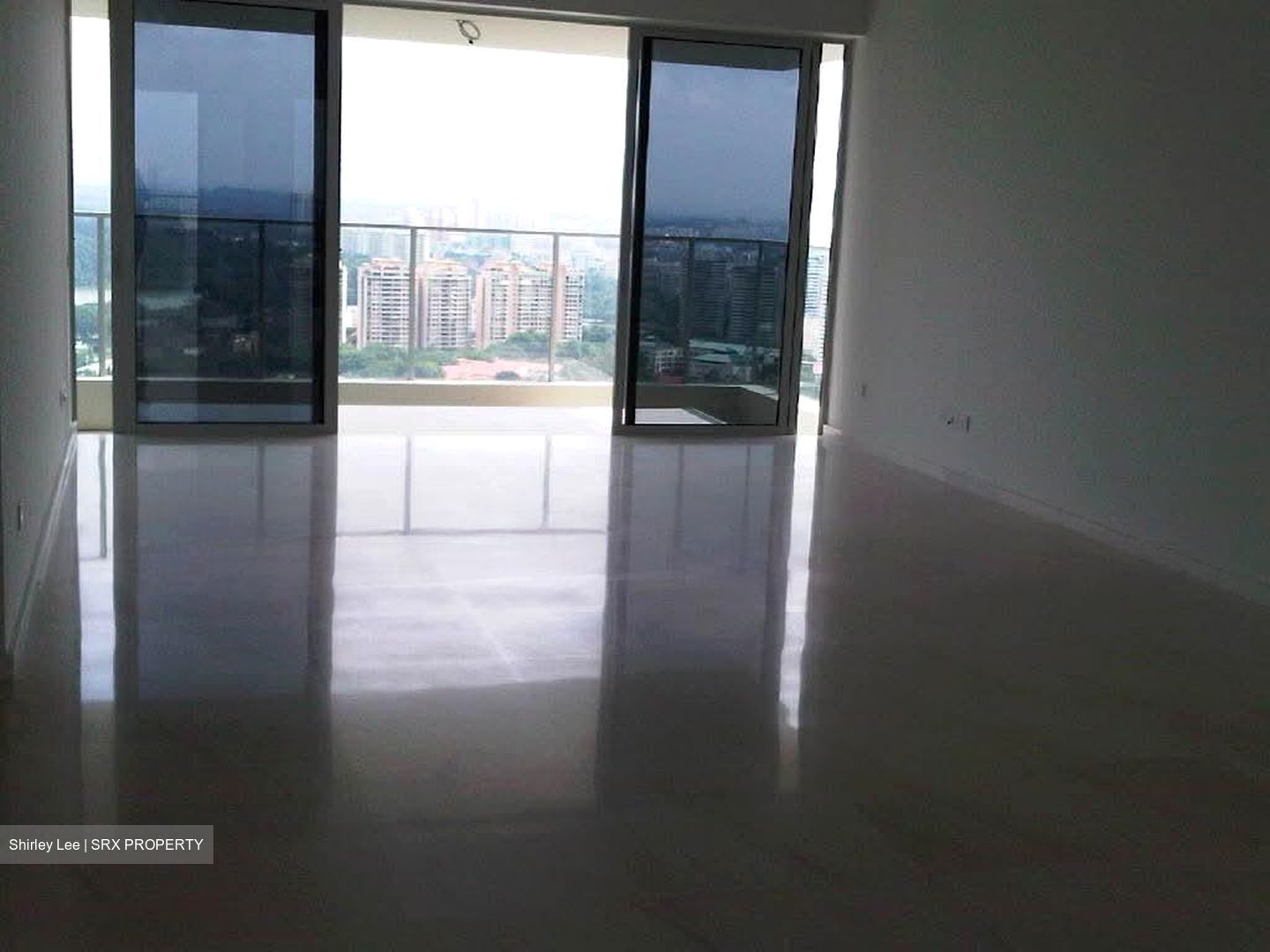 Sky@Eleven (D11), Condominium #565043921